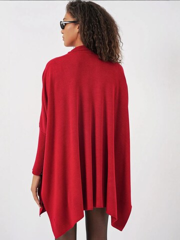 Bigdart Sweater in Red