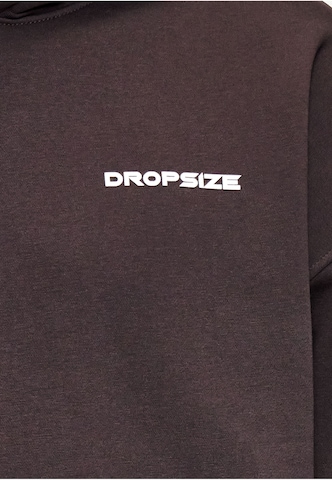 Dropsize Bluzka sportowa w kolorze brązowy