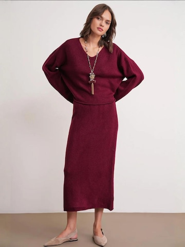 Tailleur di MixRay in rosso