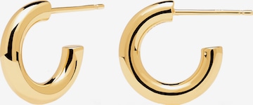 P D PAOLA Earrings in Gold: front