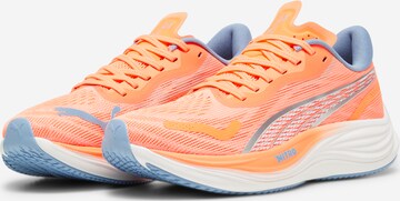 PUMA Παπούτσι για τρέξιμο 'Velocity Nitro 3' σε πορτοκαλί