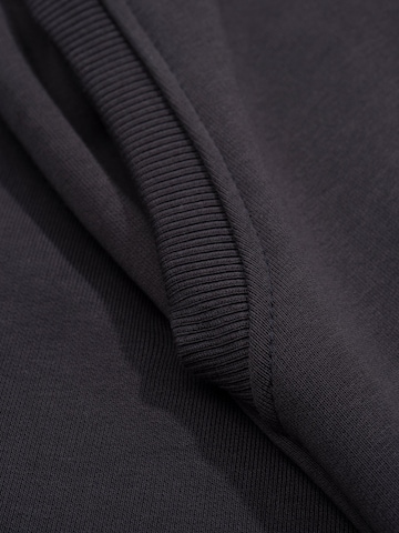 Loosefit Pantalon FEMSSY en gris