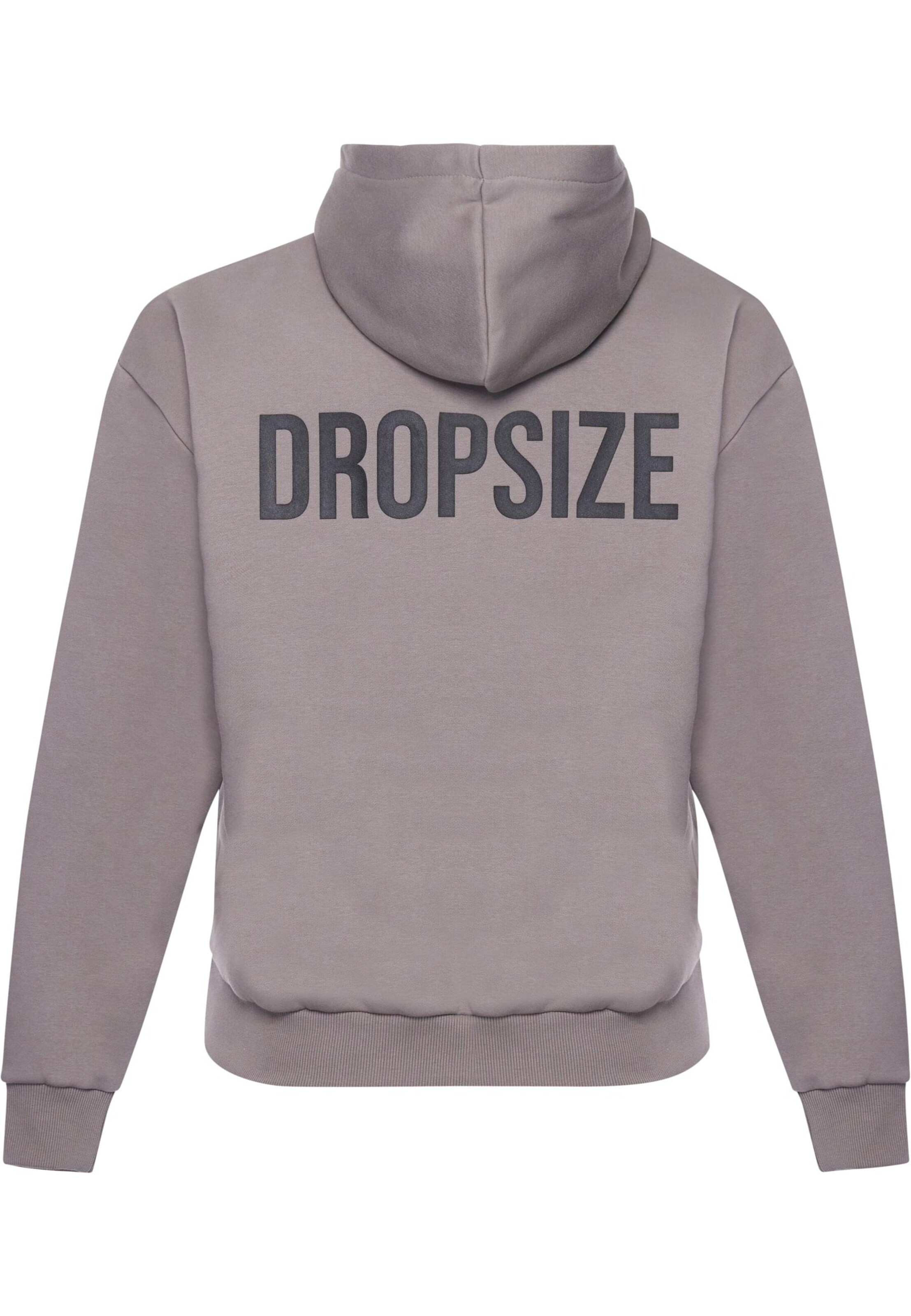 Dropsize Sweatshirt in Grau