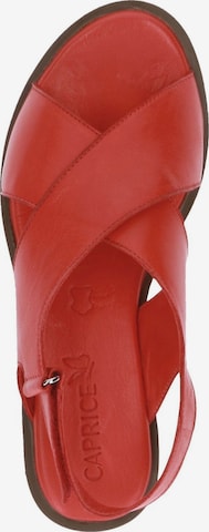 Sandalo di CAPRICE in rosso