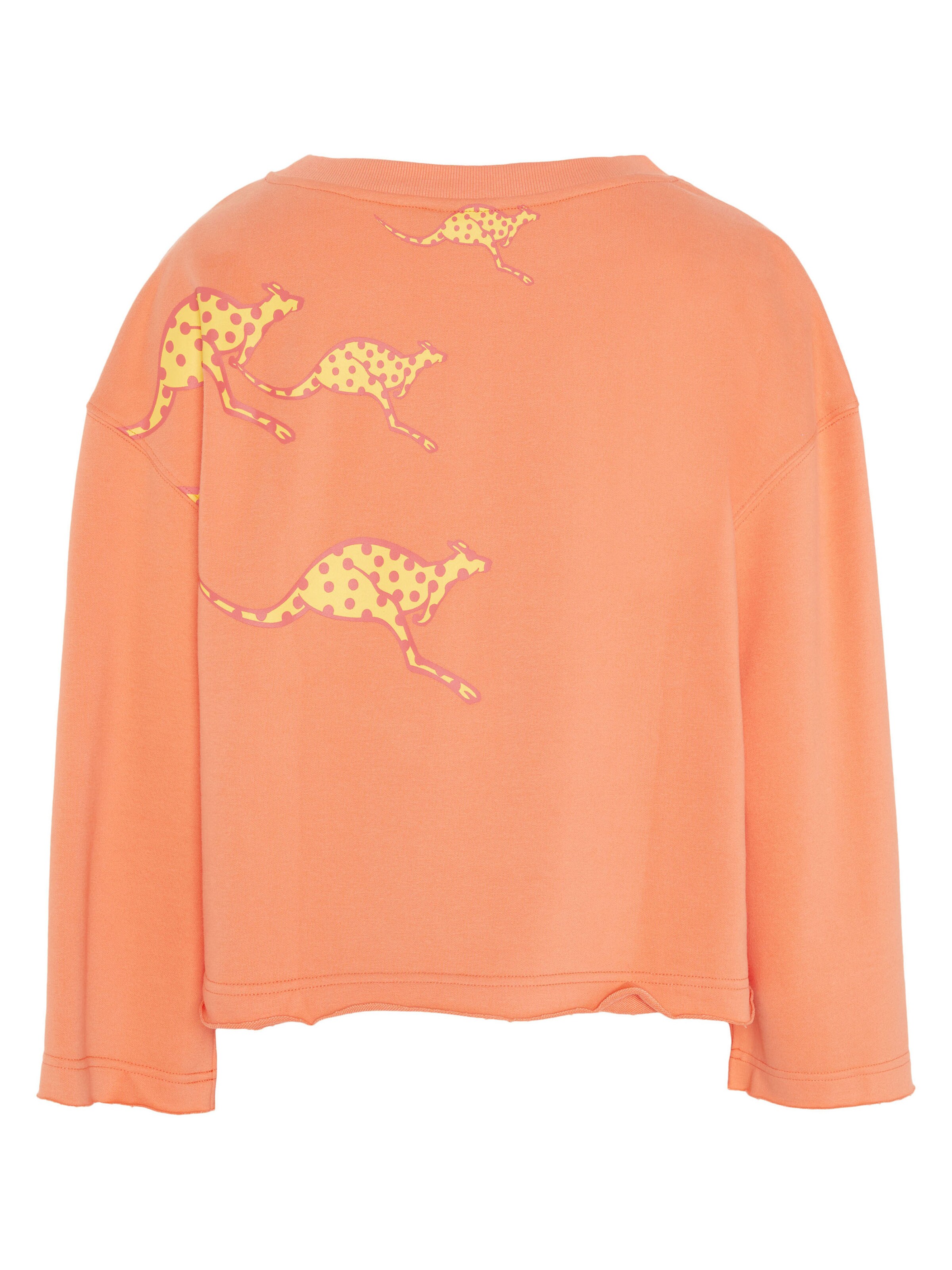 CHIEMSEE Sweatshirt in Orange