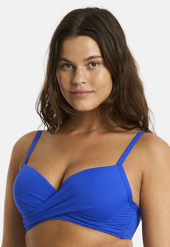 SEA LEVEL Push-up Bikinitop 'Essentials' in Blau: Vorderseite