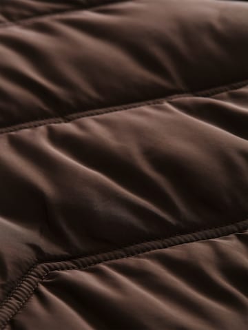 TOM TAILOR Winter Jacket in Brown