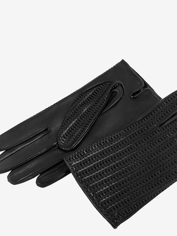 Roeckl Full Finger Gloves 'Treviso' in Black