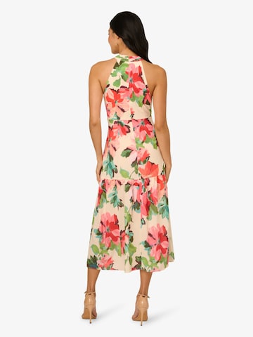 Adrianna Papell Kleid in Beige