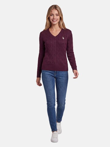 U.S. POLO ASSN. Sweater in Purple