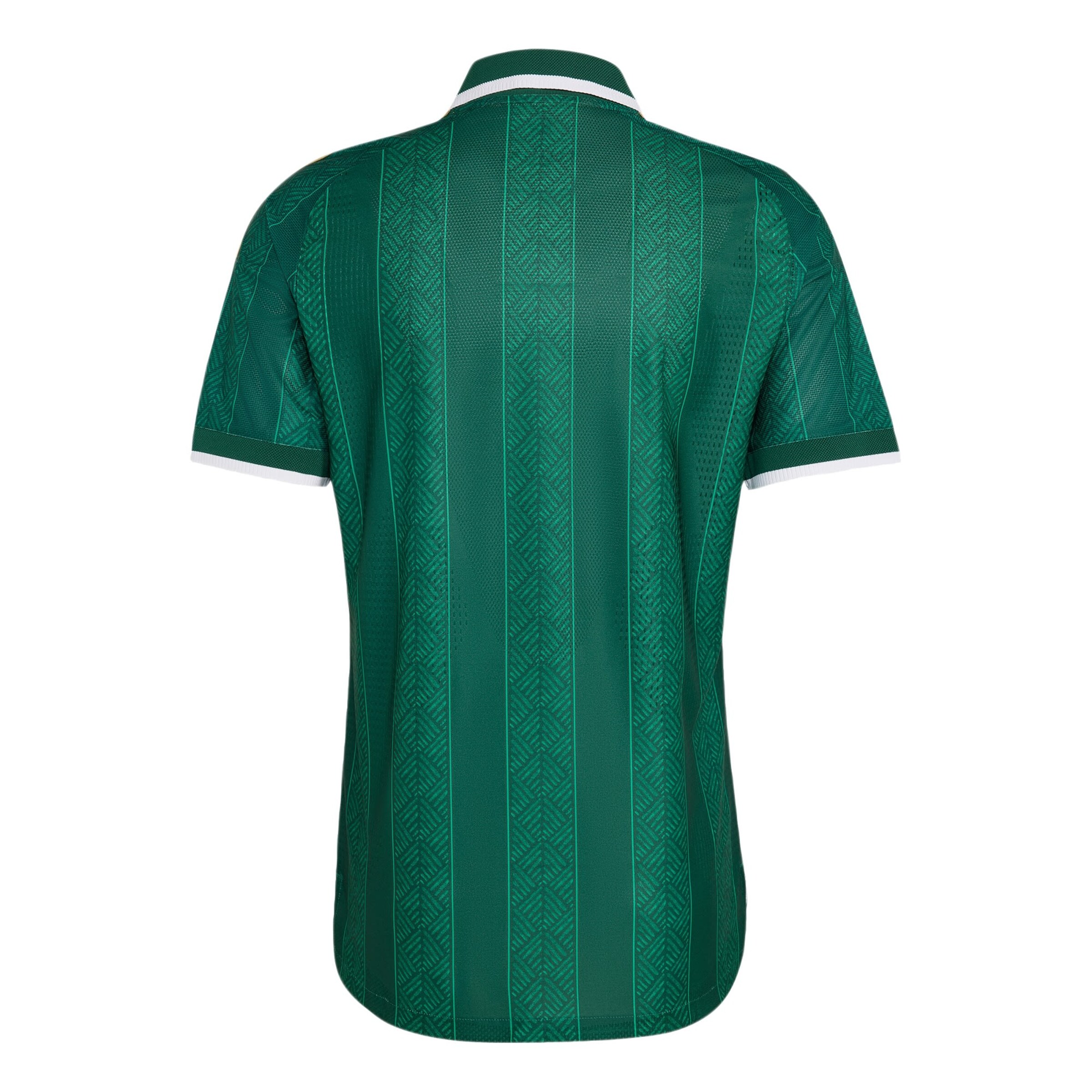ADIDAS PERFORMANCE - Camiseta de fútbol 'Südafrika 26 Authentic' en verde