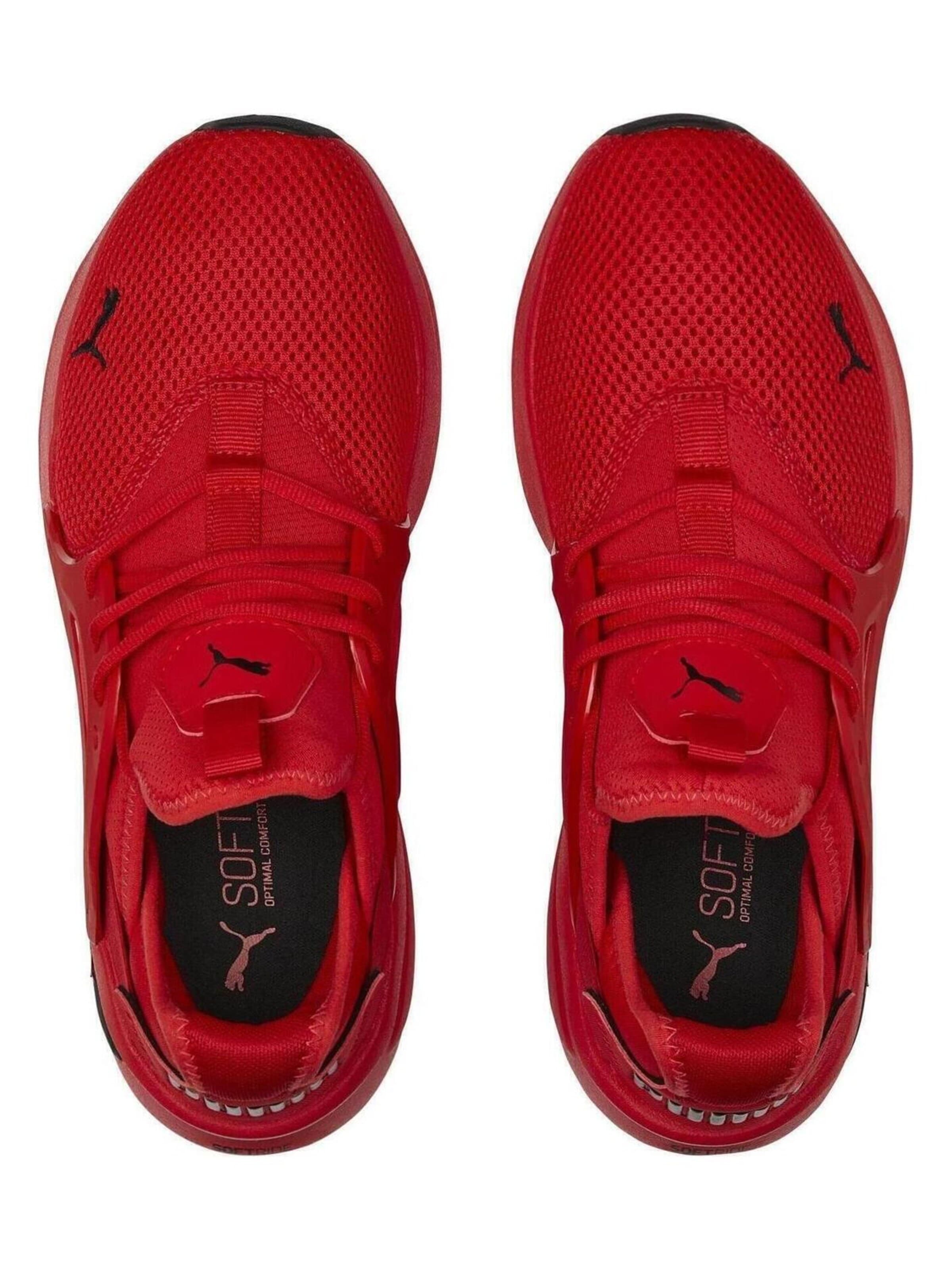 Sneaker bassa 'Puma Softride Enzo Evo High' di PUMA in rosso