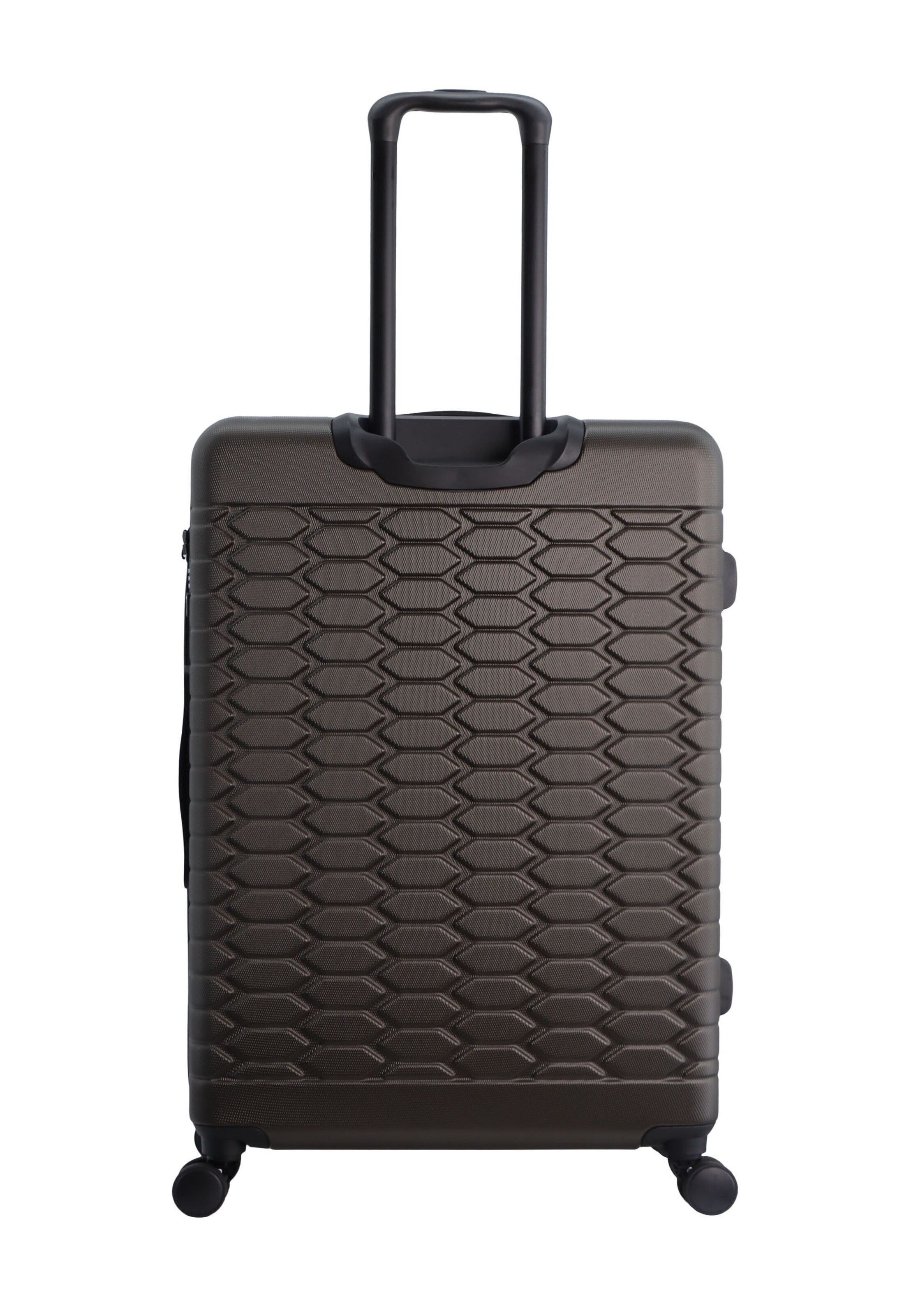 Discovery Suitcase Set 'REPTILE' in Brown