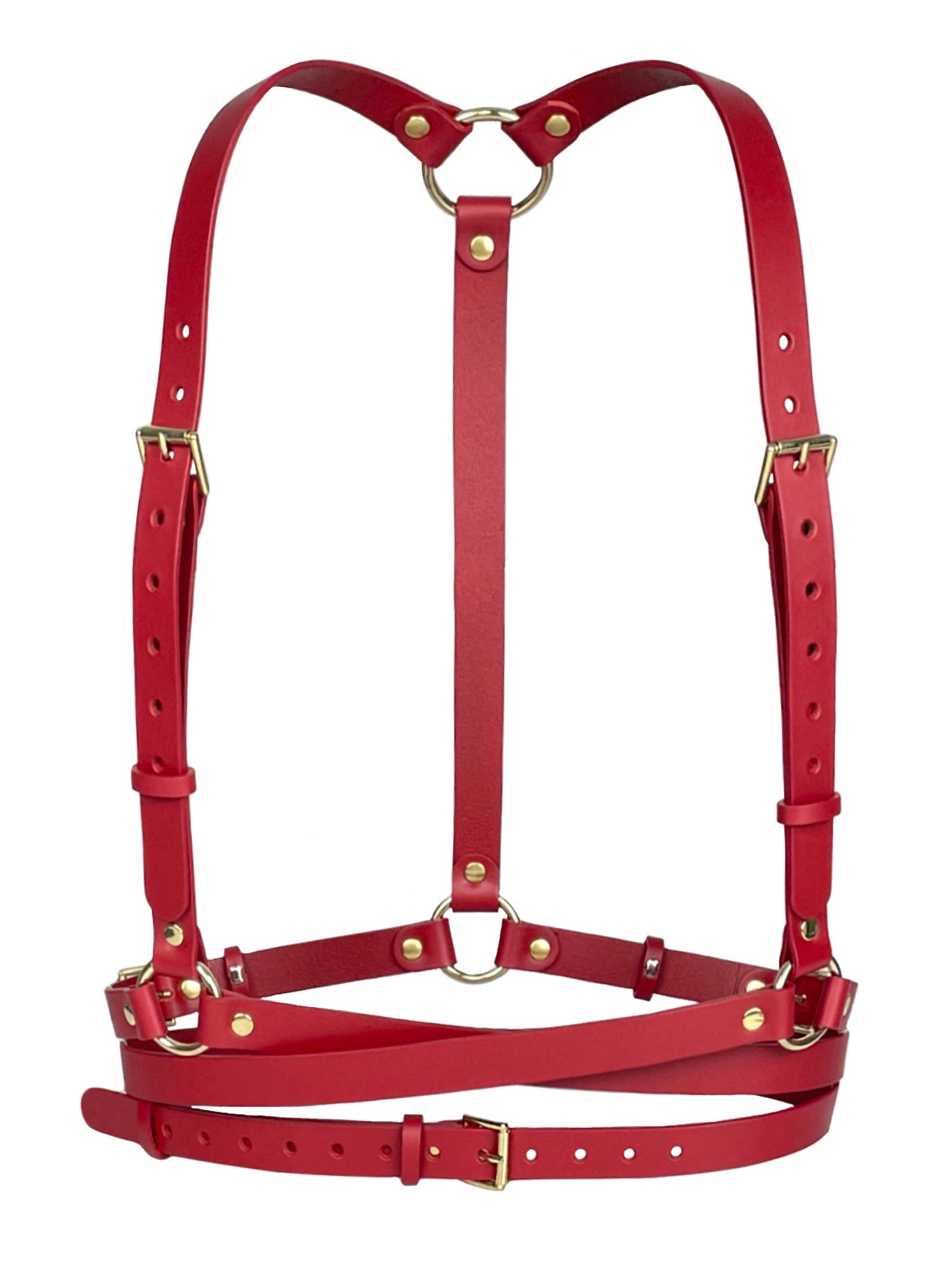 Haute Cuir Belt 'Double Belt Harness' in Red: front