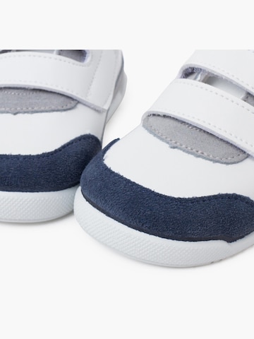 Pisamonas Sneakersy w kolorze niebieski