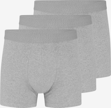 Almonu Boxer shorts 'Cotton' in Grey: front