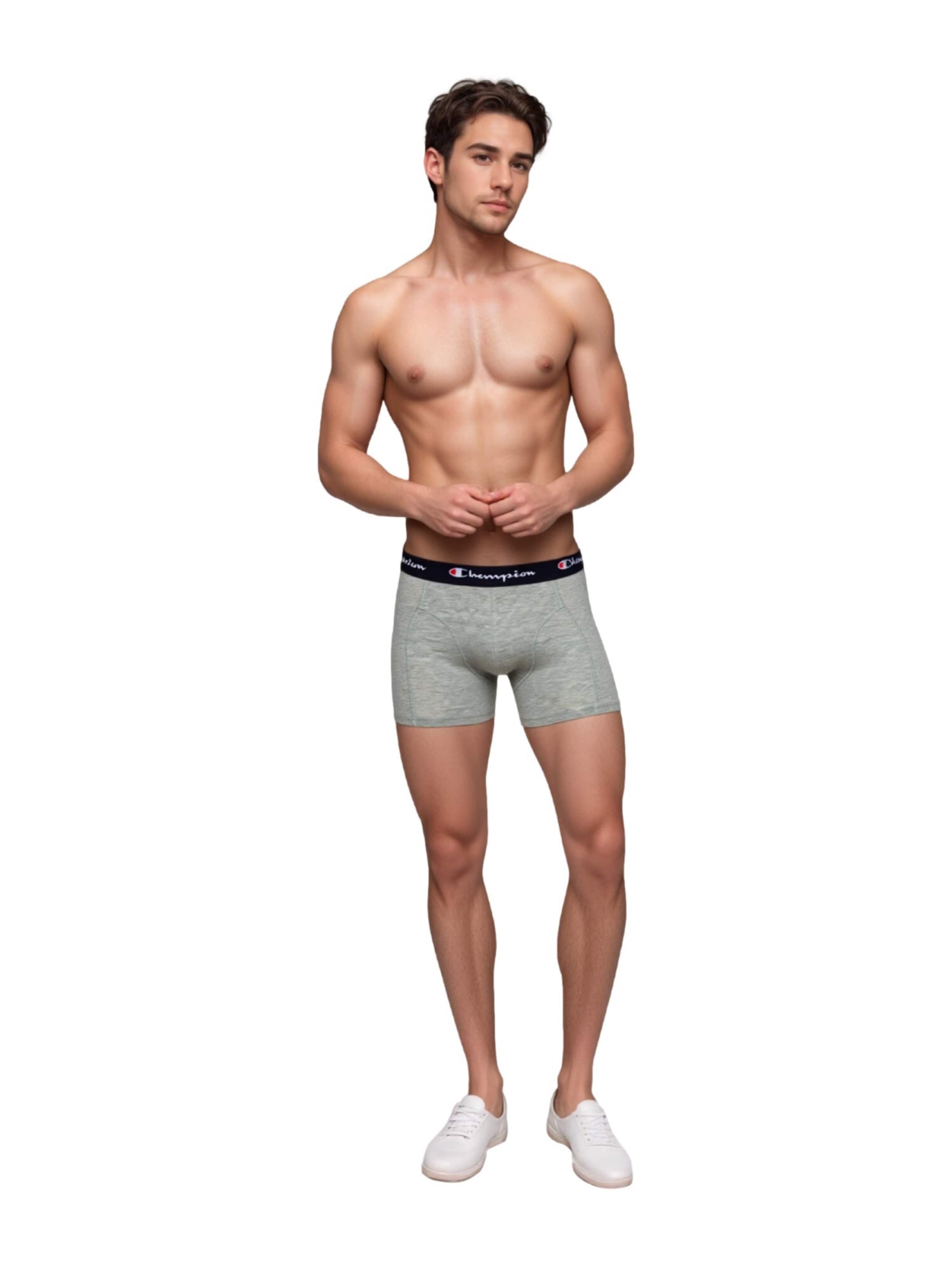 Champion Authentic Athletic Apparel Boxershorts in Grijs