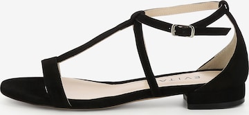 EVITA Sandale 'SALVINA' in Schwarz: Vorderseite