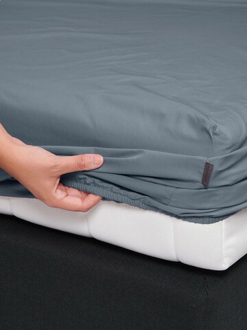ESSENZA Bed Sheet in Blue