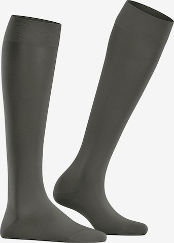 FALKE Knee High Socks 'Cotton Touch' in Green: front