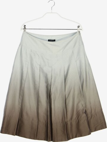 Caroll Skirt in L in Grey: front