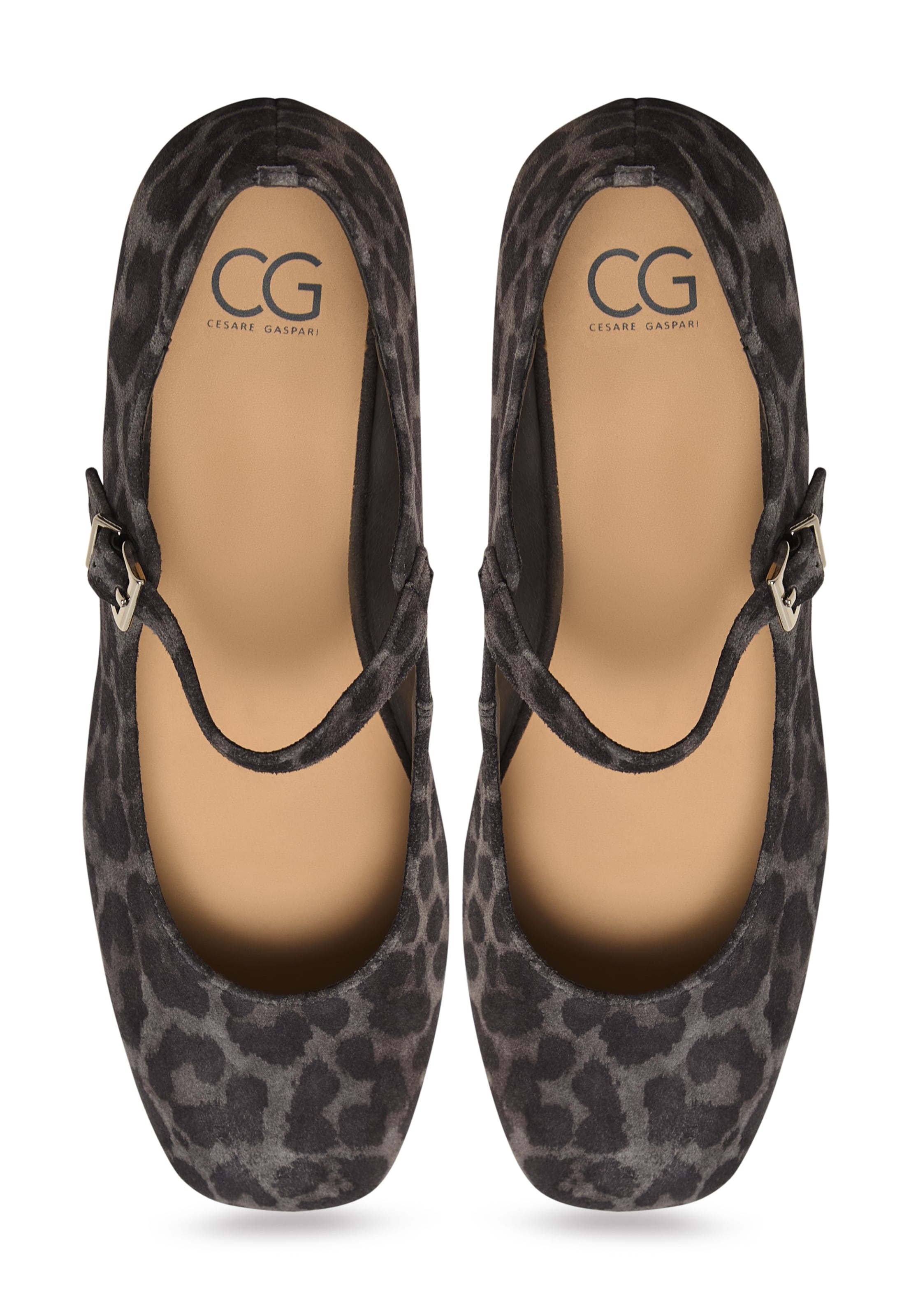 CESARE GASPARI Strap ballerina in Grey