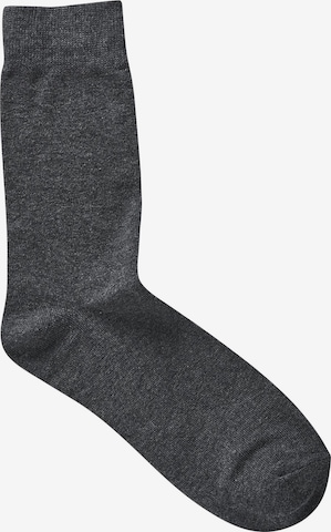 JACK & JONES Къси чорапи в сиво