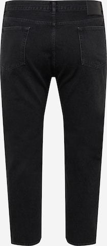 EDWIN Regular Jeans in Schwarz