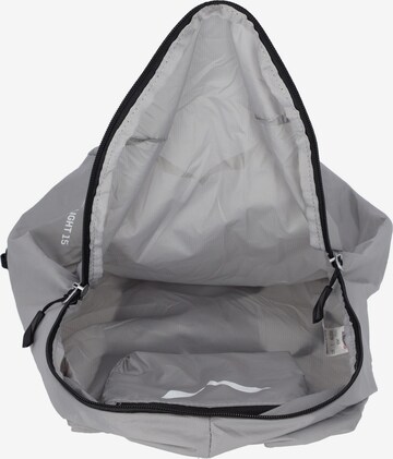 SALEWA Sports Backpack in Grey