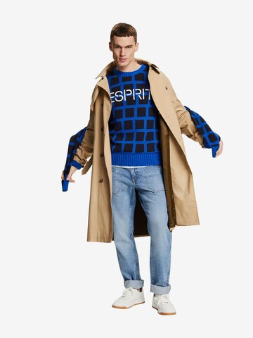 ESPRIT Trui in Blauw