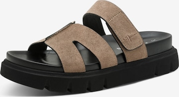 TamarisNatikače s potpeticom - siva boja: prednji dio