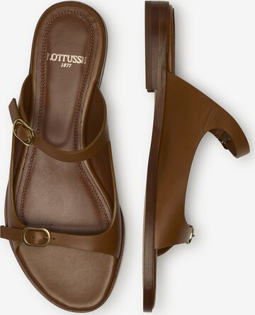 LOTTUSSE Sandals 'Nylo' in Brown