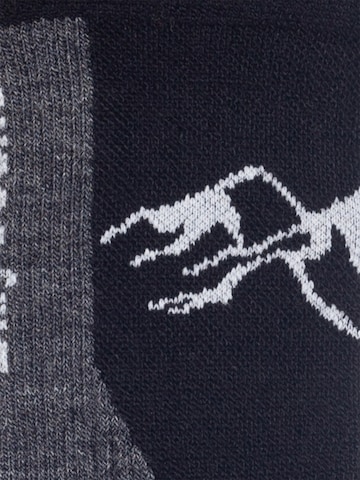Chaussettes de sport 'Active Merino ' DillySocks en noir