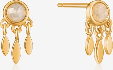 ANIA HAIE Earrings in Gold: front