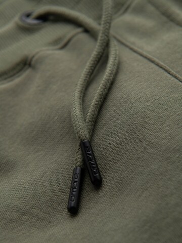 Ombre Tapered Hose in Grün