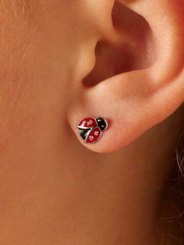 Boucles d'oreilles Lucardi en argent