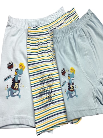 Pantaloncini intimi 'Jungen Boxershorts Dinos' di LOREZA in colori misti
