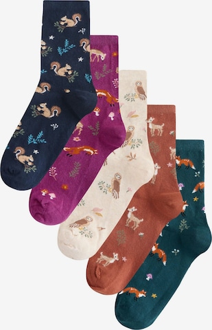Next Socks in Mixed colours: front