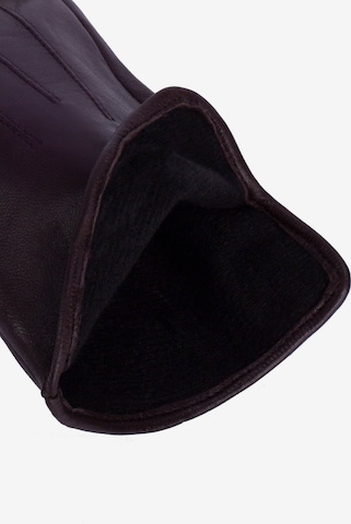KESSLER Full Finger Gloves in Brown