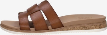 SKECHERS Mule in Brown: front