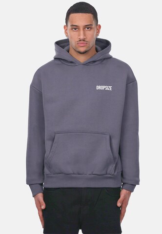 Dropsize Sweatshirt 'Wire Dove' in Grey