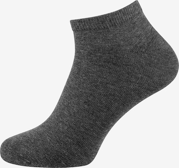 Chaussettes 'Classic' Nur Der en gris