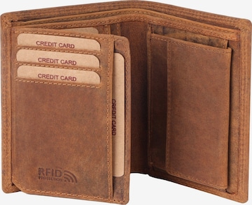 Benthill Wallet in Brown: front