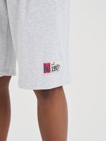 AND1 Štandardný strih Nohavice - Sivá