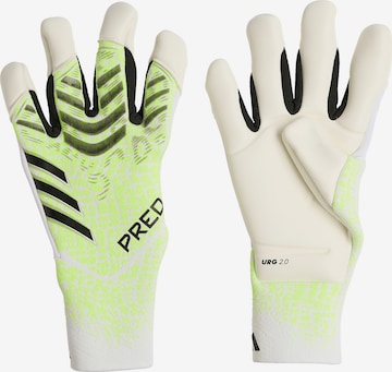 ADIDAS PERFORMANCE Torwarthandschuhe 'Predator GL Pro Hybrid' in Grün: Vorderseite