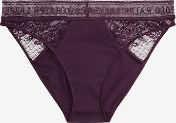 Slip 'Love Collection' Polo Ralph Lauren en violet : devant