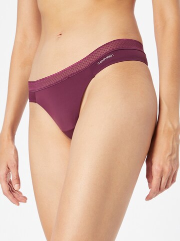 Calvin Klein Underwear Thong in Purple: front