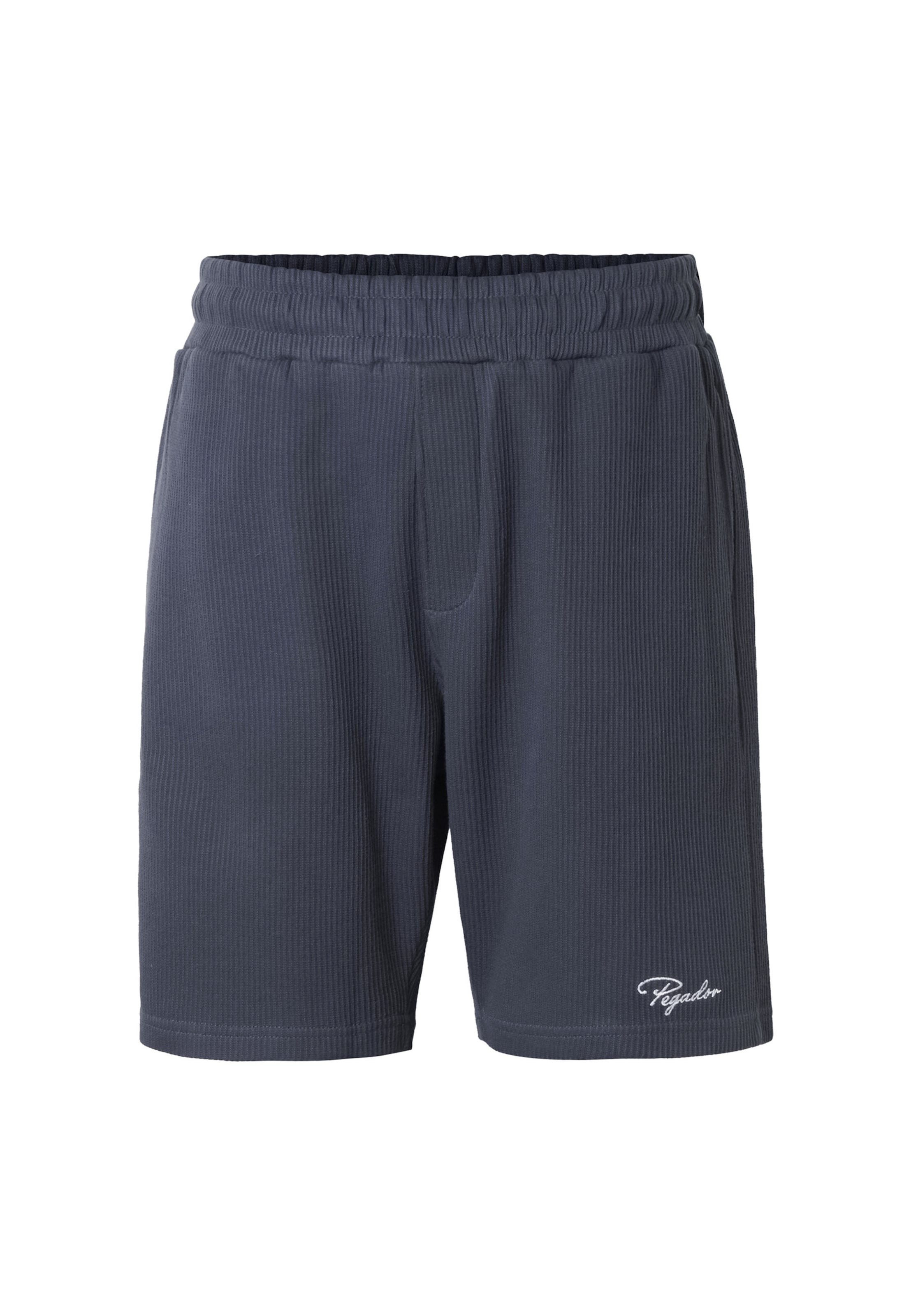 Pegador Regular Broek 'Signar' in Blauw: voorkant