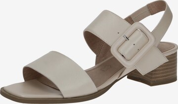 CAPRICE Sandals in Beige: front