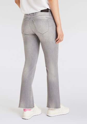 Herrlicher Bootcut Jeans in Grau